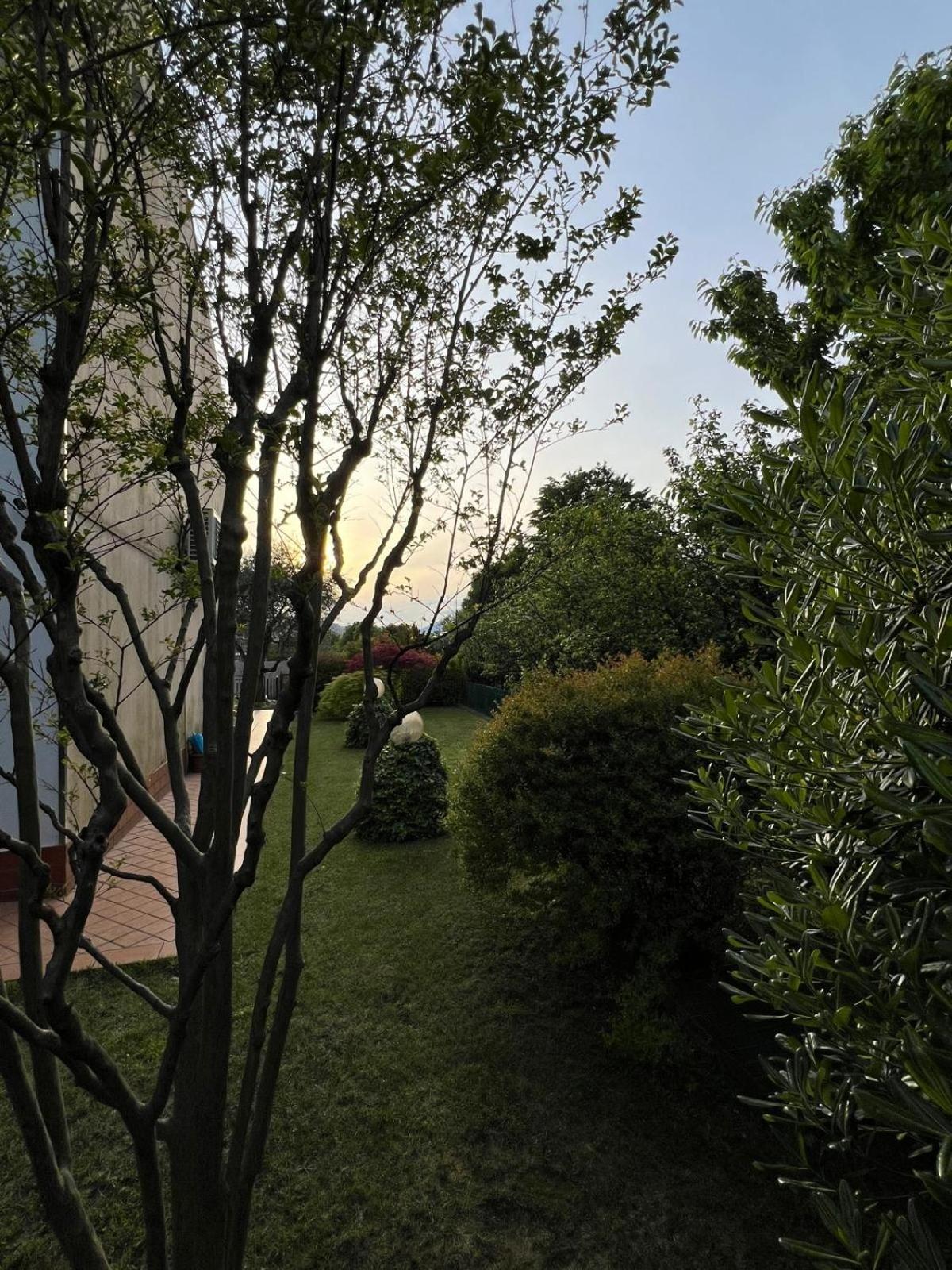 Villa Luisa Gorle Екстер'єр фото