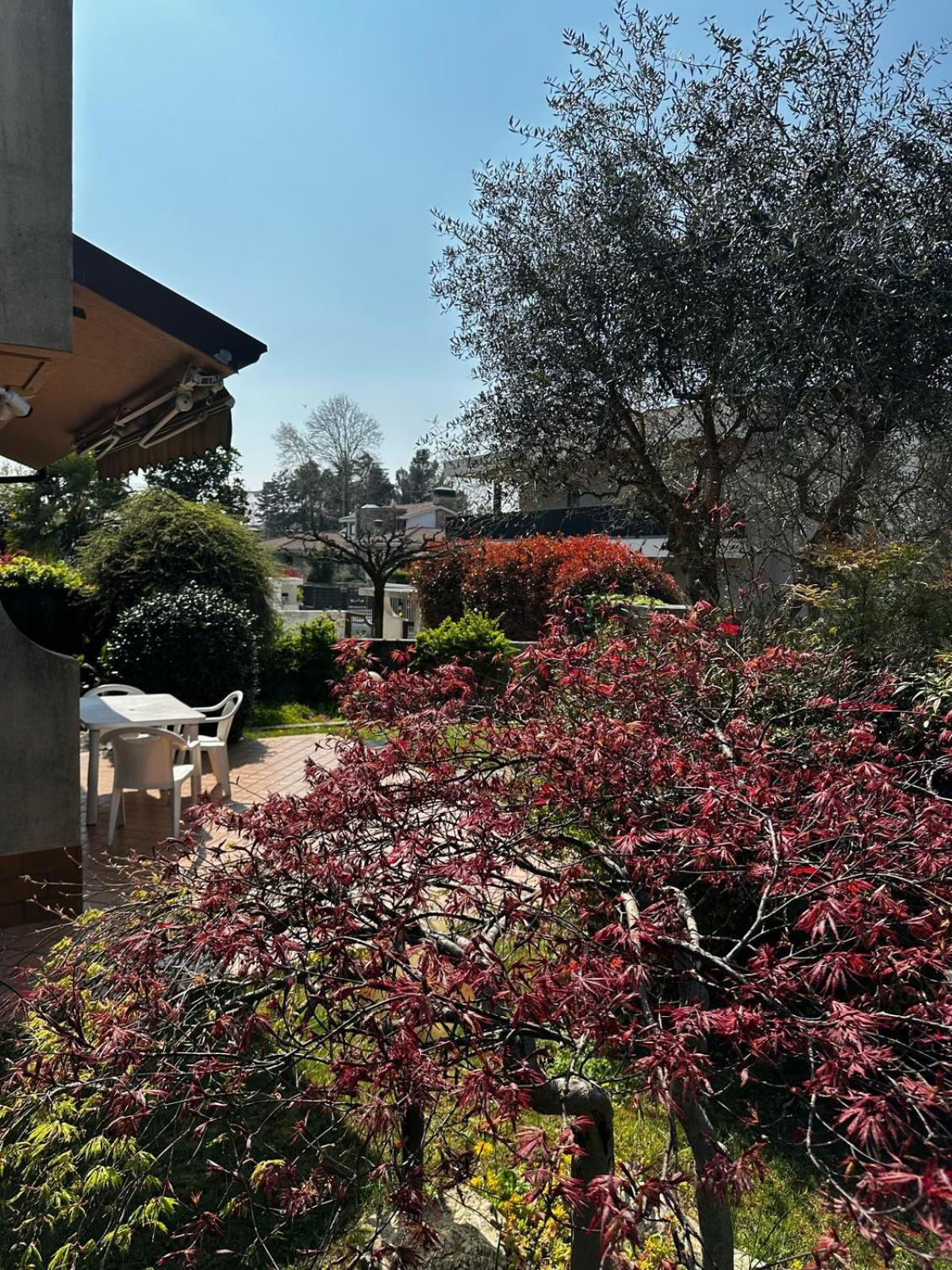 Villa Luisa Gorle Екстер'єр фото